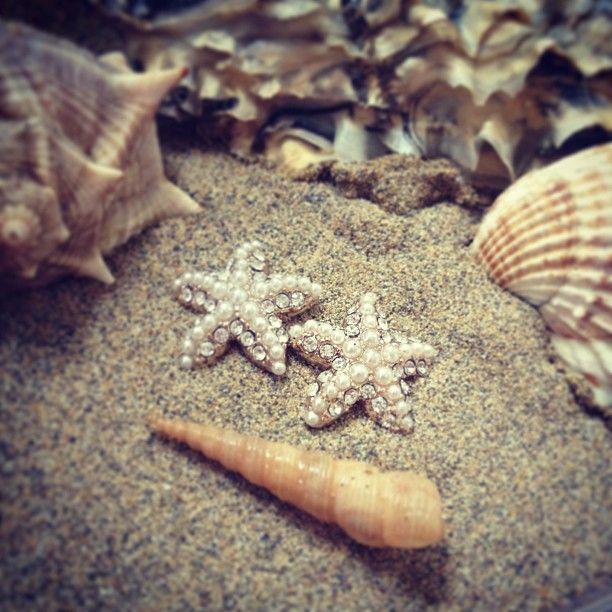 Brincos de estrela do mar com pérolas de cristal